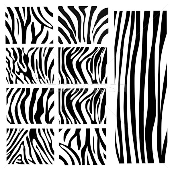 600x600 Zebra Print Stock Vectors, Illustrations And Cliparts Stockfresh