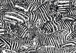 310x217 Free Zebra Print Vector Graphics Free Vectors Ui Download