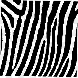 260x261 Zebra Pattern Png Images Vectors And Psd Files Free Download