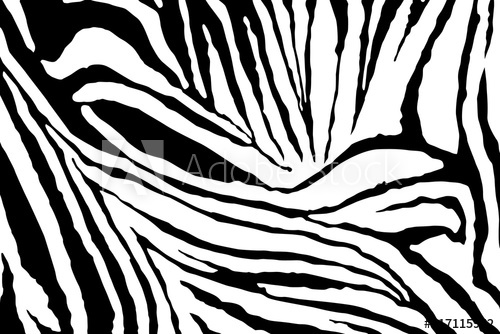 500x334 Zebra Stripes Pattern Vector
