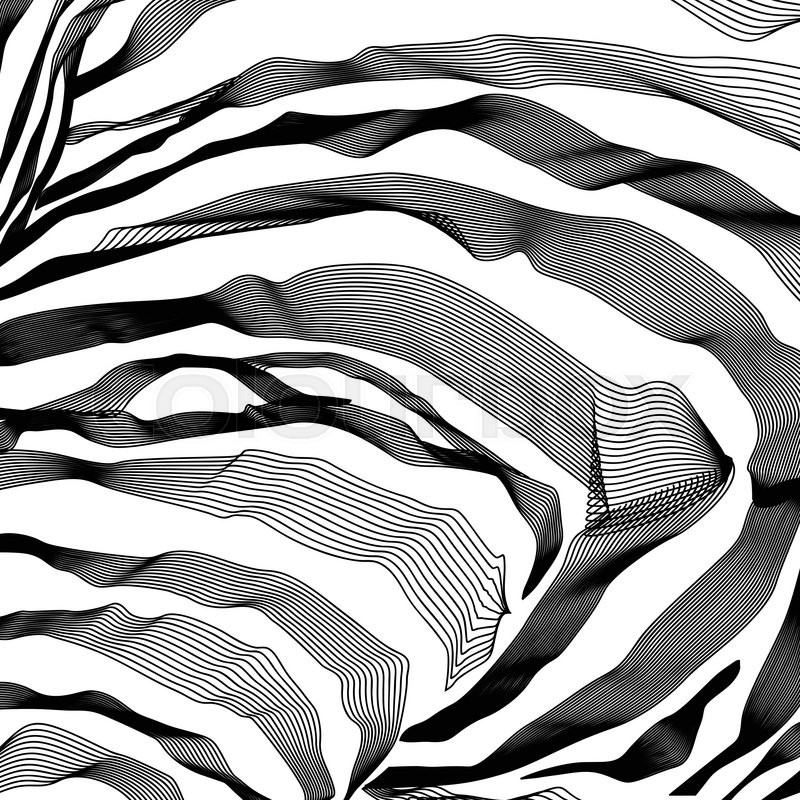 800x800 Zebra Stripes Pattern Outline Background. Vector Illustration. Eps