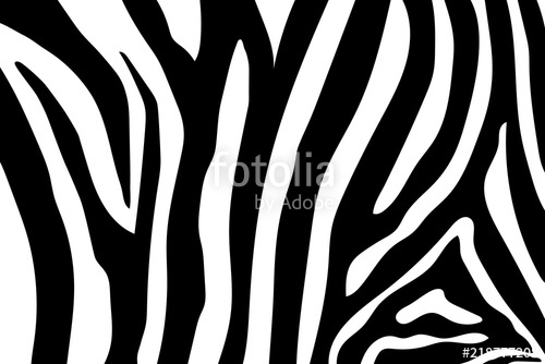 500x334 Zebra Stripes Pattern. Zebra Print, Animal Skin, Tiger Stripes