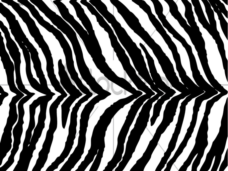 798x600 Zebra Stripes Vector Graphics Stockfuel