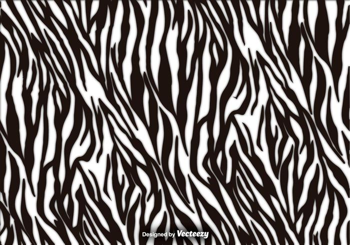700x490 Zebra Stripes Vector Texture Background