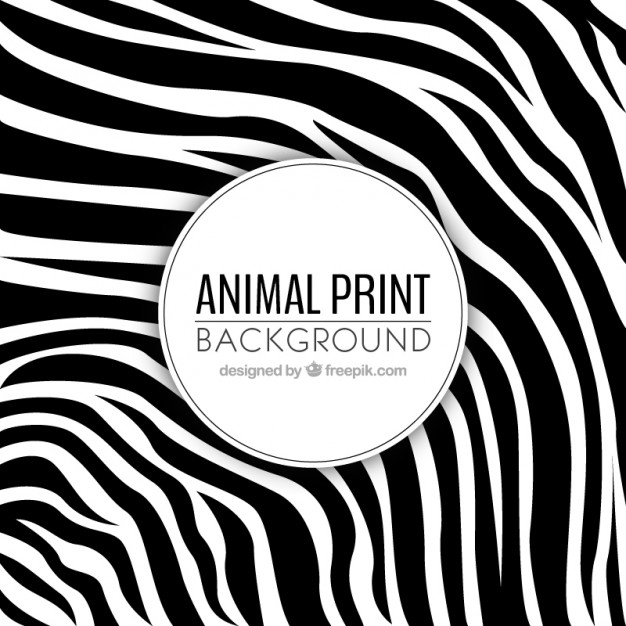 626x626 Zebra Stripes Vectors, Photos And Psd Files Free Download