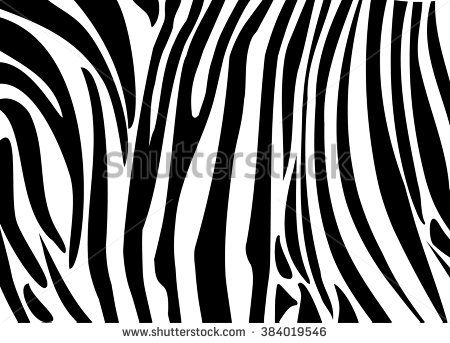 450x343 Zebra Stripes Black And White Abstract Background In Zebra Skin