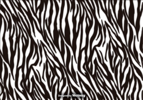 285x200 Zebra Stripes Free Vector Graphic Art Free Download (Found 3,720