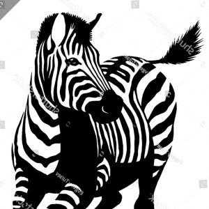 300x300 Vector Youtube Logo Icon Vector, Yoga Symbols Vector Art, Zebra