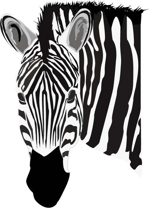 501x696 Vector Zebra Free Graphics Collection My Free Photoshop World