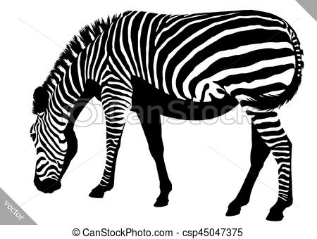450x340 Black And White Linear Paint Draw Zebra Vector Illustration. Black
