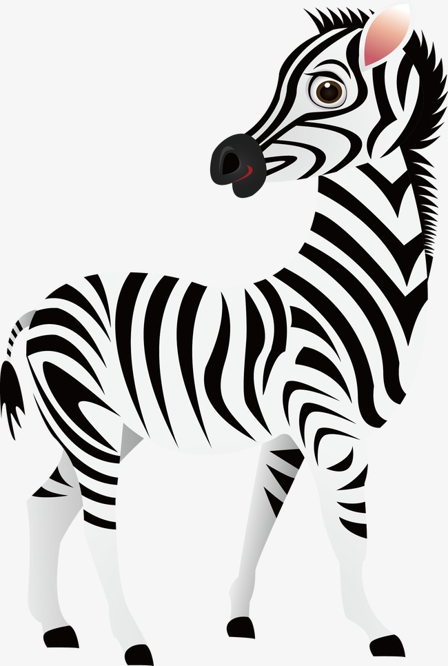 650x966 Zebra Vector, Animal, Cartoon, Hand Painted Png And Vector For