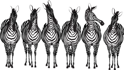 425x240 Zebra Free Vector Download (193 Free Vector) For Commercial Use