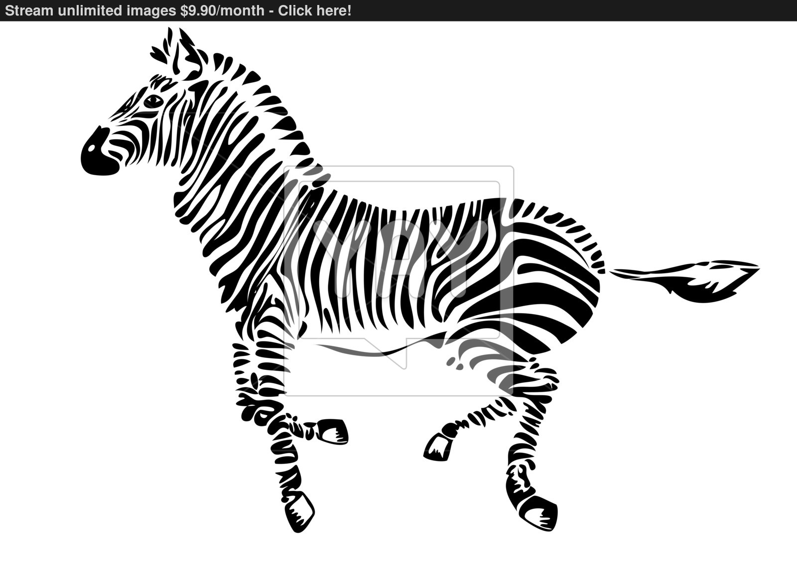 1600x1131 Running Zebra