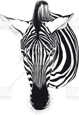 277x400 Head Of Zebra Vector Image Vector Artwork Of Plants And Animals