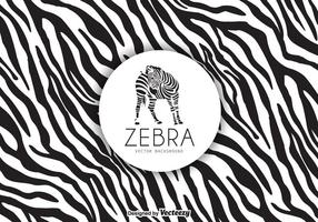 286x200 Zebra Free Vector Art