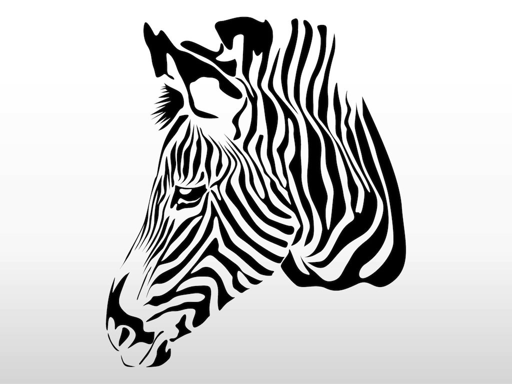 1024x768 Zebra Head Vector Art Amp Graphics