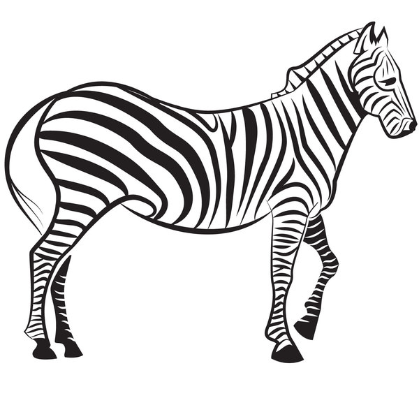 600x600 Zebra Image Vector Free Vector Download In .ai, .eps, .svg Format