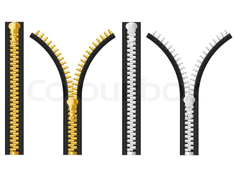 800x614 Zipper Vector Illustration Stock Vector Colourbox