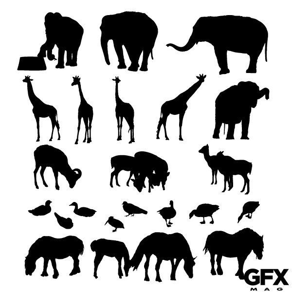 Zoo Animals Vector at GetDrawings | Free download