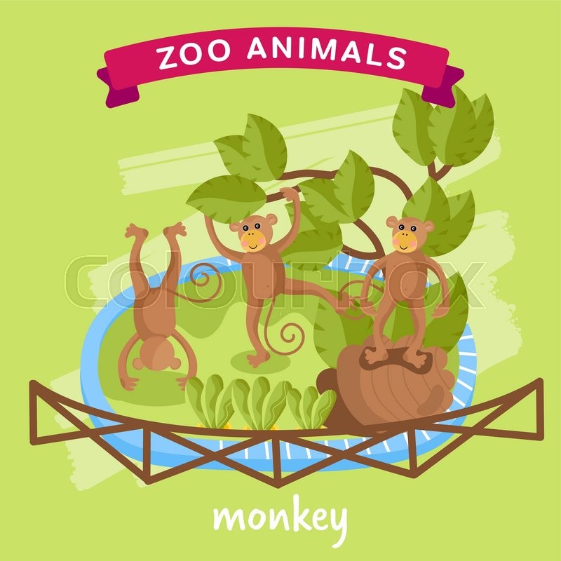 800x800 Vector Zoo Animals Series, Animal In A Cage, Monkey Illustration