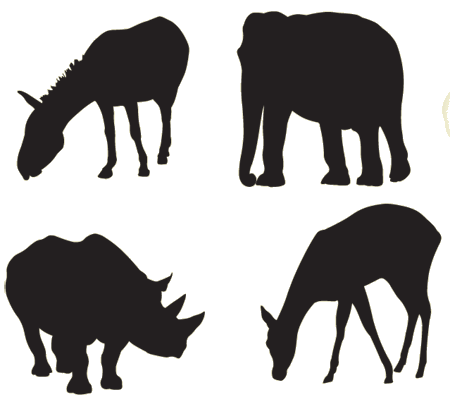 450x404 15 Zoo Vector For Free Download On Mbtskoudsalg