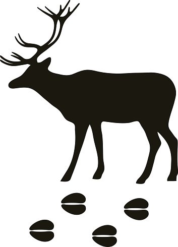 353x490 Black Silhouette Deer Wild Animal Zoo Vector Premium Clipart
