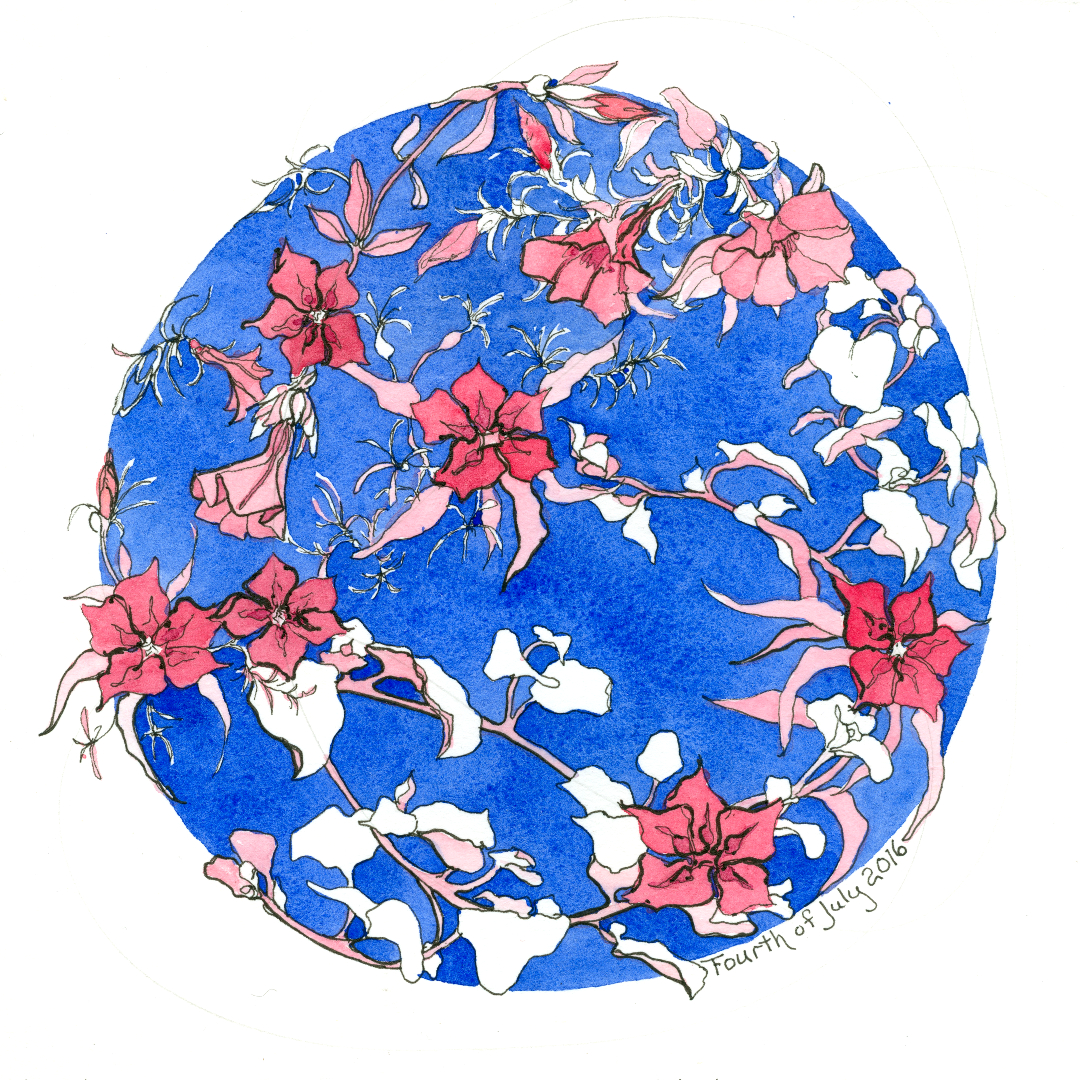 1080x1080 Fourth Of July Dala Botanicals Ink Watercolor Red White Blue Chris