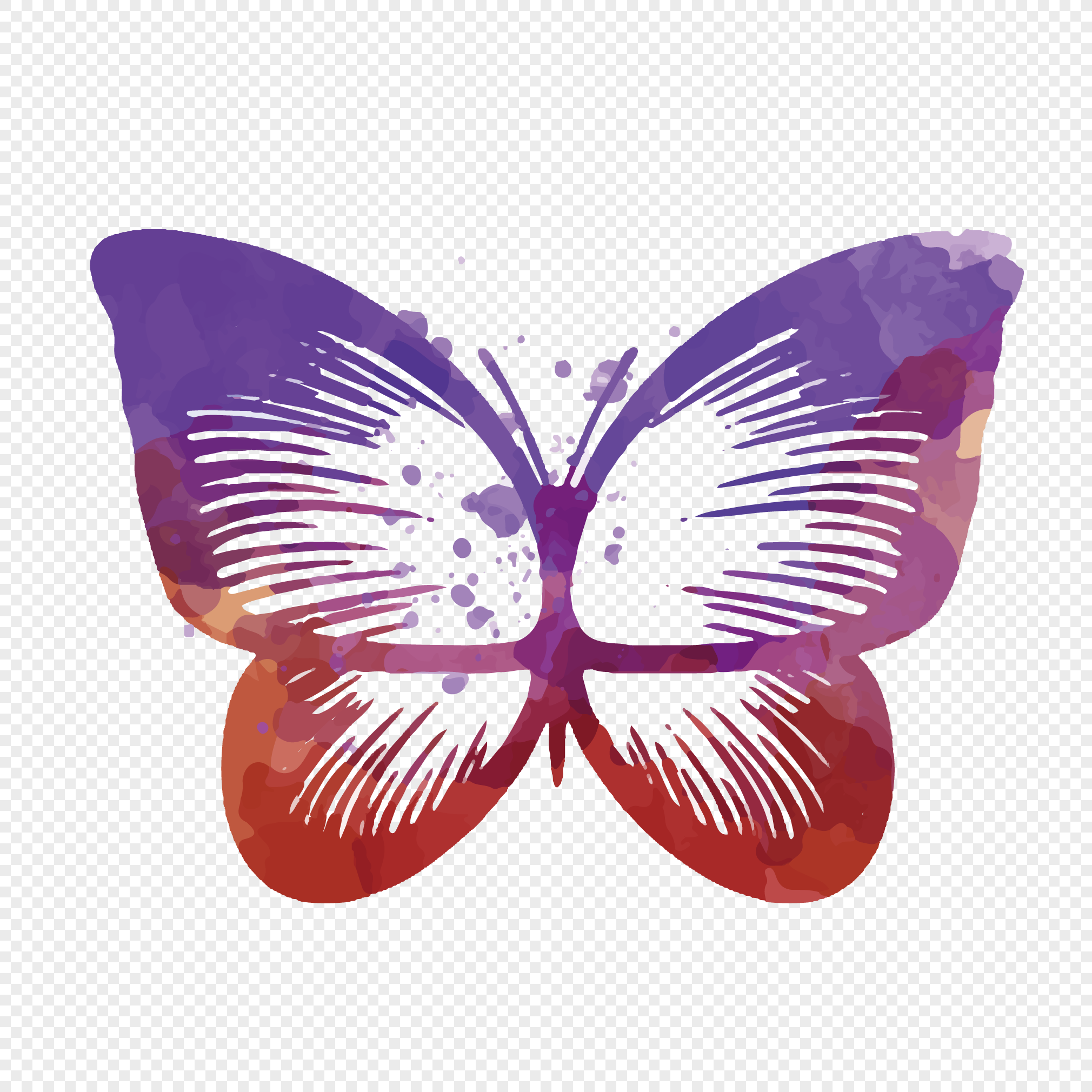 2020x2020 Abstract Watercolor Butterfly Png Image Picture Free Download