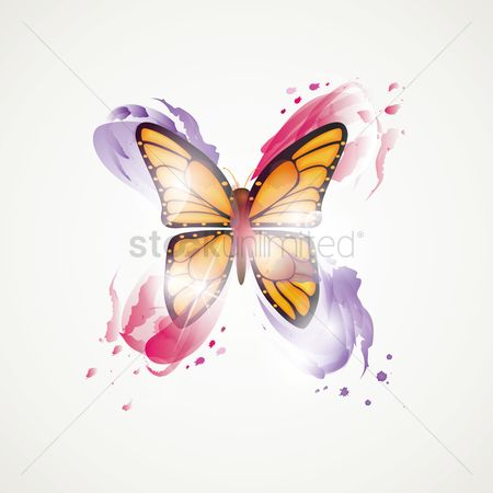 450x450 Free Watercolor Butterfly Stock Vectors Stockunlimited