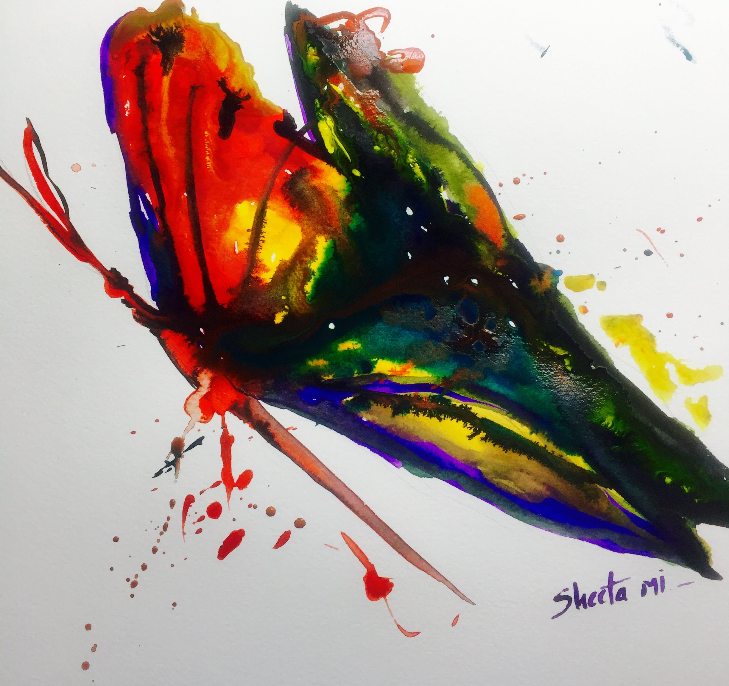 2448x2305 Watercolor Butterfly Painting Tutorial