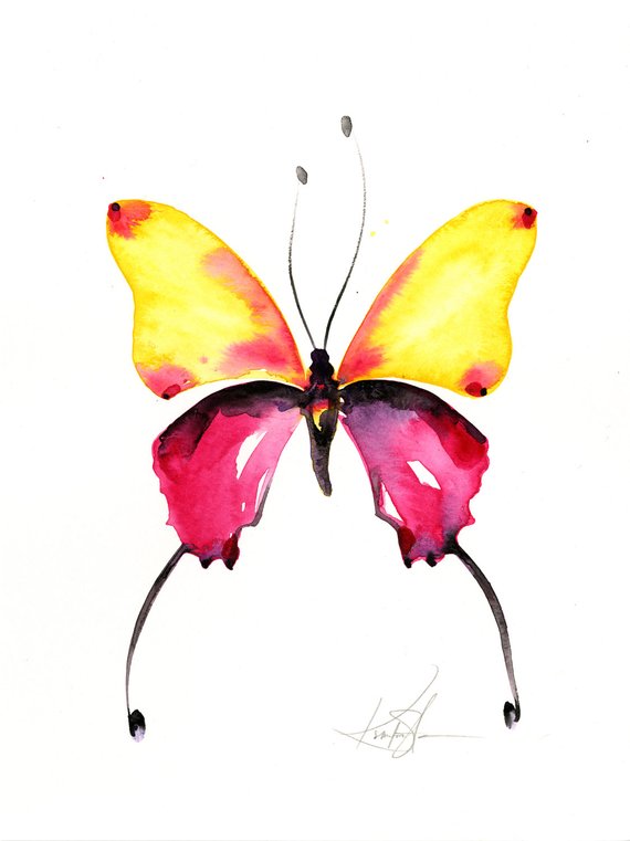 570x761 Abstract Butterfly Watercolor Painting Yellow Pink Art Etsy