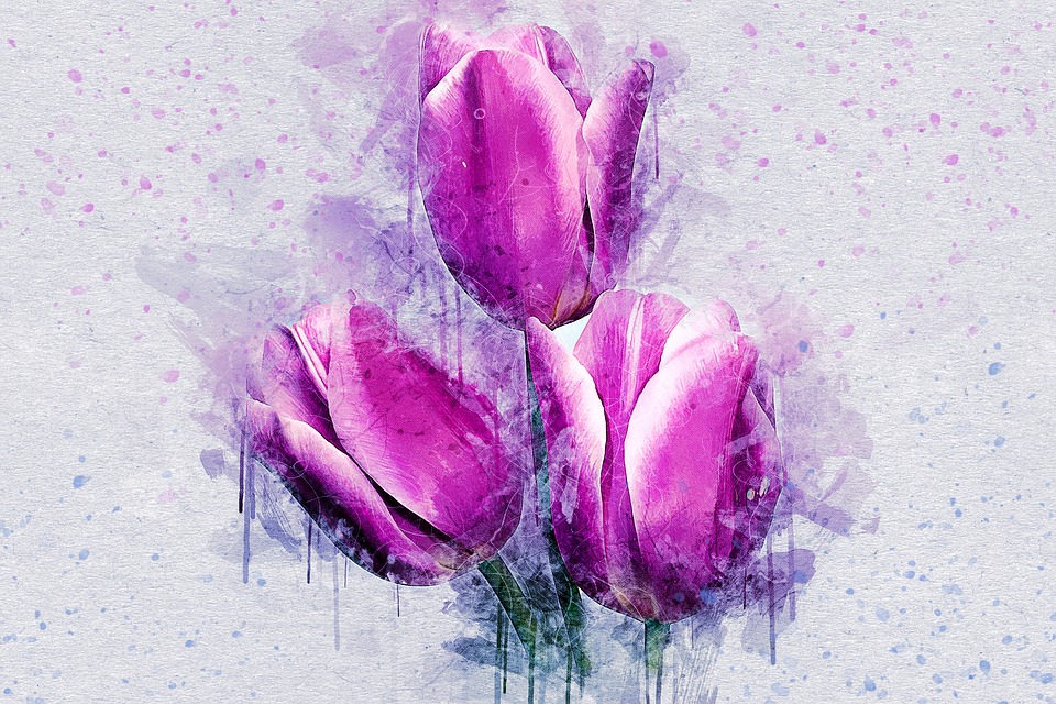 960x640 Free Photo Nature Tulip Art Abstract Flowers Watercolor