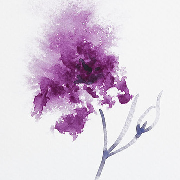 360x360 Abstract Watercolor Flower Beautiful Flowers On White Dise O