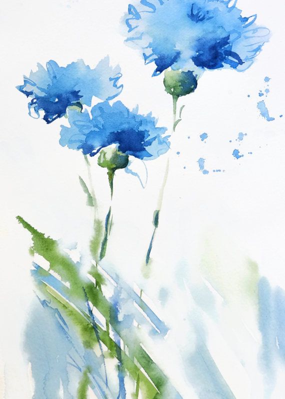 570x798 Cornflower Art Print Watercolor Painting, Blue Flower Art Abstract