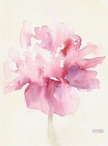 222x300 Watercolor Flower Paintings Fine Art America