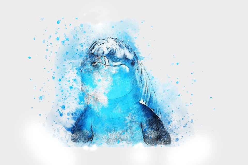 960x640 Free Photo Art Watercolor Animal Dolphin Nature Abstract