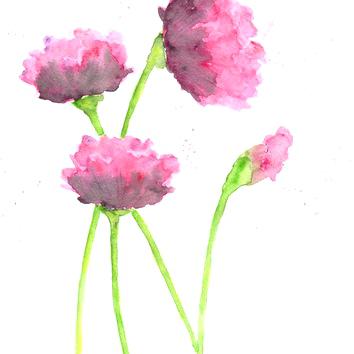 354x354 Abstract Watercolor Flowers Abstract Watercolor Flowers On Scrble.co