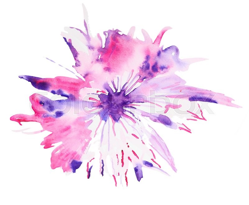 800x661 Abstract Watercolor Flower. Beautiful Watercolor Flowers On White