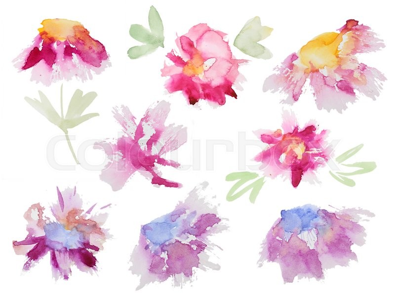 800x615 Collection Of Abstract Watercolor Flowers. Set Of Beautiful