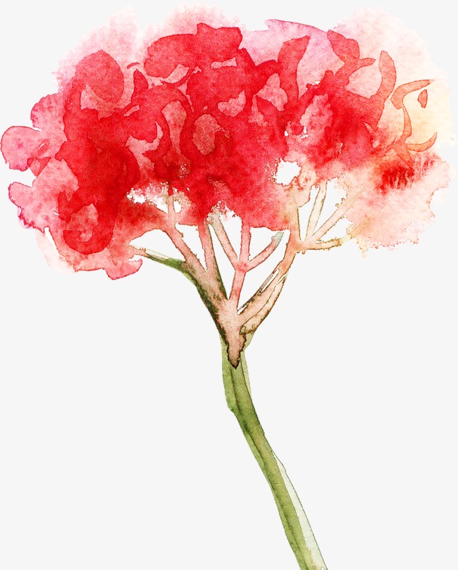 650x810 Abstract Watercolor Flowers, Watercolor Clipart, Retro, Hand