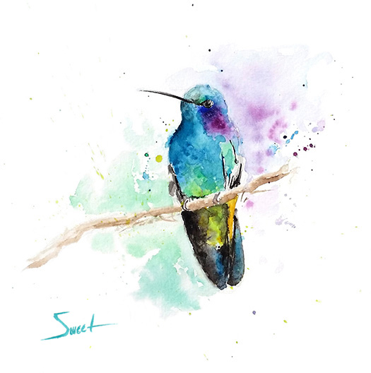525x528 Abstract Watercolor Hummingbird