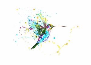 300x215 Original Watercolour Humming Bird Print Animal Painting Abstract