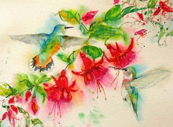 570x420 Hummingbird Art Print Abstract Watercolor Painting Fuschia Etsy