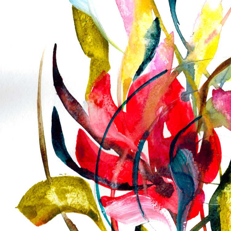 750x750 Unknown Flower