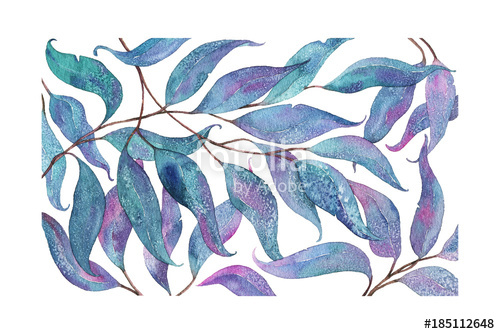 500x334 Abstract Watercolor Painting, Eucalyptus Leaves Stock Photo And
