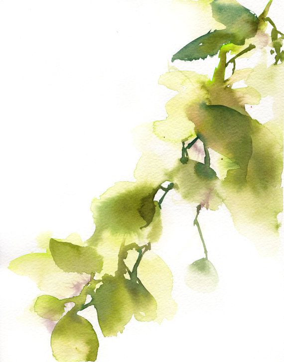 570x727 Green Leaves Abstract Watercolor Painting Original Watercolor