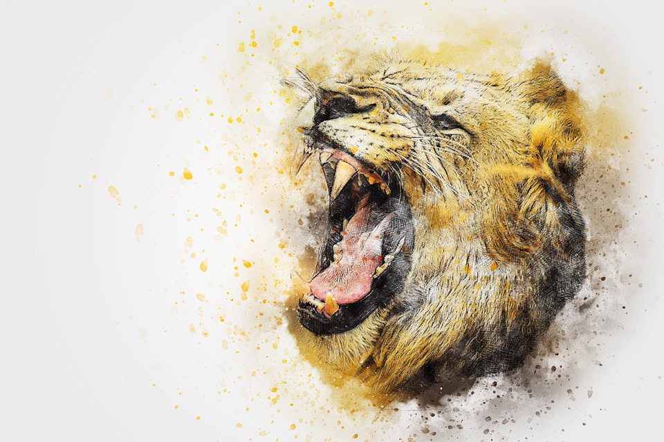 960x640 Free Photo Vintage Abstract Art Roar Animal Lion Watercolor