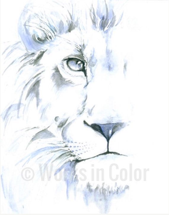 570x725 White Lion Watercolor Print