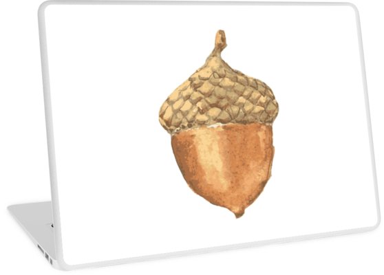 558x400 Acorn Watercolor Like Brown Laptop Skins By Thebeststore Redbubble