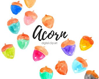 340x270 Acorn Watercolor Etsy